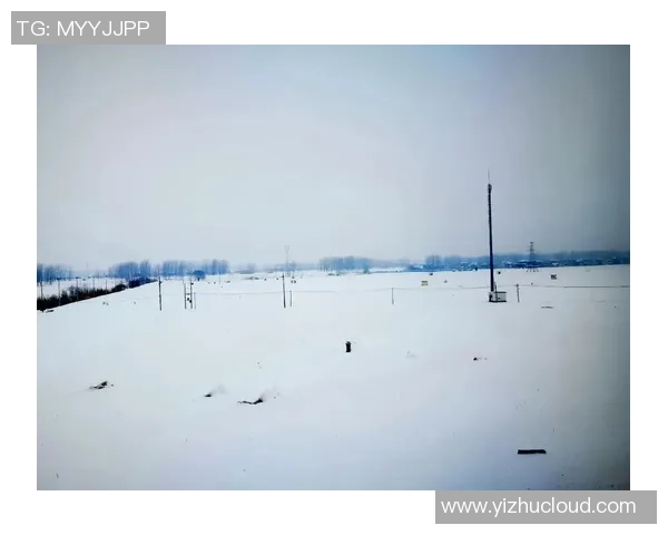 滑雪：奔驰雪野，与风共舞的热血酷爱